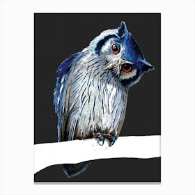 The Northern White Faced Owl Canvas Print
