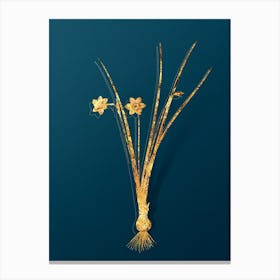 Vintage Daffodil Botanical in Gold on Teal Blue n.0330 Canvas Print