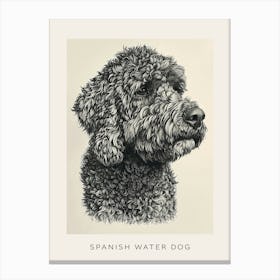Spanish Water Dog Line Sketch 3 Poster Canvas Print