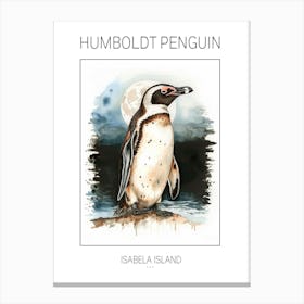 Humboldt Penguin Isabela Island Watercolour Painting 4 Poster Canvas Print