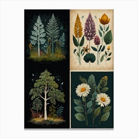 Set Of Four Botanical Prints Canvas Print