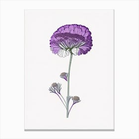 Scabiosa Floral Minimal Line Drawing 2 Flower Canvas Print