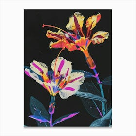 Neon Flowers On Black Portulaca 3 Canvas Print