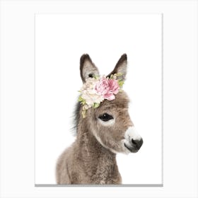 Peekaboo Floral Donkey Canvas Print