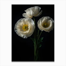 White Poppies Canvas Print