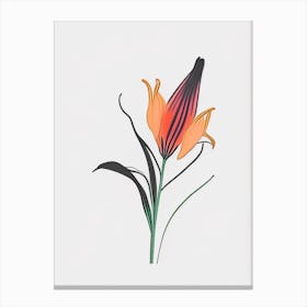 Inca Lily Floral Minimal Line Drawing 1 Flower Canvas Print