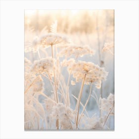 Frosty Botanical Queen Annes Lace 6 Canvas Print