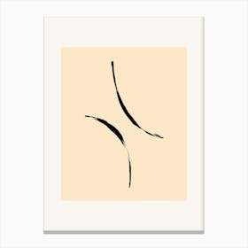 Eyeliner Canvas Print