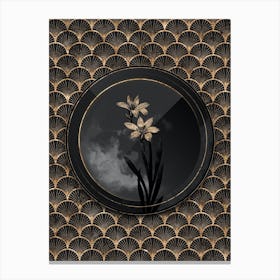 Shadowy Vintage Ixia Liliago Botanical in Black and Gold n.0037 Canvas Print