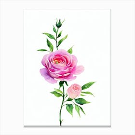 Rose Watercolour Flower Canvas Print