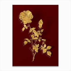 Vintage Pink Autumn China Rose Botanical in Gold on Red n.0047 Canvas Print