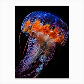 Jellyfish 2 Canvas Print