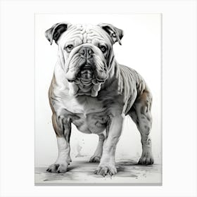 Doggy Doodles Canvas Print