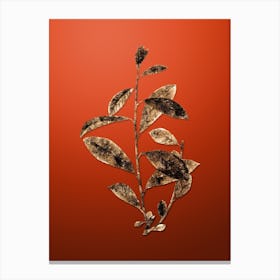 Gold Botanical Grey Willow on Tomato Red n.2266 Canvas Print