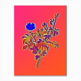 Neon White Downy Rose Botanical in Hot Pink and Electric Blue Canvas Print