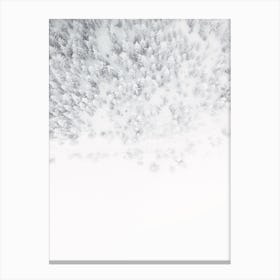 Aerial Winter Forest Canvas Print