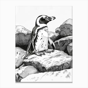 African Penguin Sunbathing On Rocks 1 Canvas Print