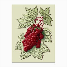 Red Raspberry Herb William Morris Inspired Line Drawing 2 Canvas Print