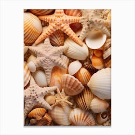 Starfish And Shells Canvas Print