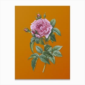 Vintage Pink French Rose Botanical on Sunset Orange Canvas Print