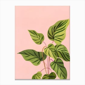 Upstart Pink and Green Canvas Print