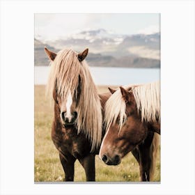 Pair Of Shaggy Horses Canvas Print