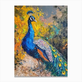 Brushstroke Peacock On The Gravel Path 1 Canvas Print