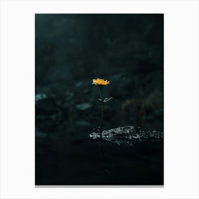 Single Flower In Water 4 Canvas Print