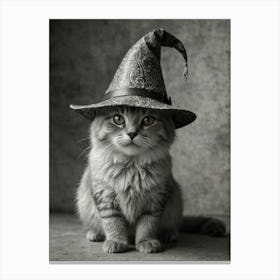 Witches Hat Canvas Print