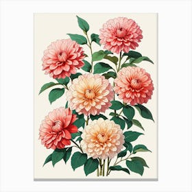 Dahlias Canvas Print