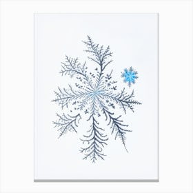 Fernlike Stellar Dendrites, Snowflakes, Pencil Illustration 5 Canvas Print