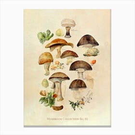 Mushroom Collection 01 Canvas Print