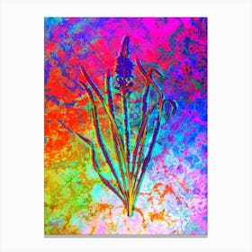 Wild Asparagus Botanical in Acid Neon Pink Green and Blue n.0323 Canvas Print