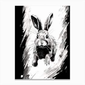 Rabbit Prints Ink Drawing Black And White 5 Canvas Print