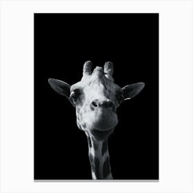 Giraffe 2 Canvas Print