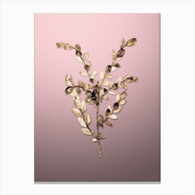 Gold Botanical Creeping Willow on Rose Quartz Canvas Print