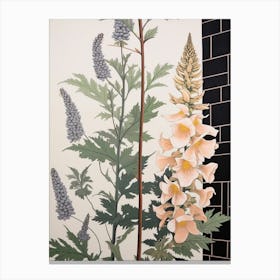 Flower Illustration Aconitum 4 Canvas Print