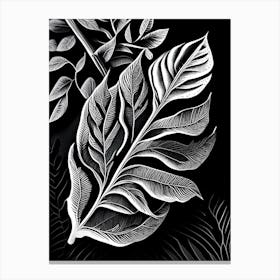 Sweet Bay Leaf Linocut 2 Canvas Print