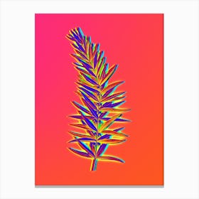 Neon Whorled Solomon's Seal Botanical in Hot Pink and Electric Blue Canvas Print