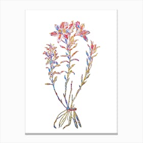 Stained Glass Lily of the Incas Mosaic Botanical Illustration on White n.0210 Canvas Print