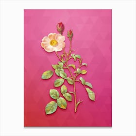Vintage Sparkling Rose Botanical Art on Beetroot Purple n.0860 Canvas Print