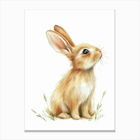 Netherland Dwarf Rabbit Kids Illustration 2 Canvas Print