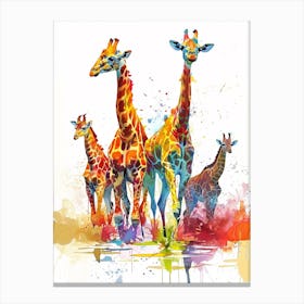 Herd Of Giraffe In The Water Watercolour 1 Canvas Print