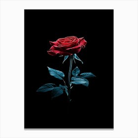 Red Rose 3 Canvas Print