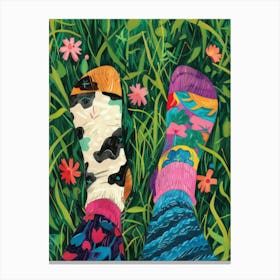 Socks In The Grass Canvas Print