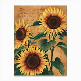 Sunflowers Canvas Print