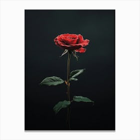 Single Red Rose 17 Canvas Print