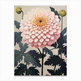 Flower Illustration Dahlia 1 Canvas Print