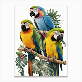 Parrots On A Branch Canvas Print