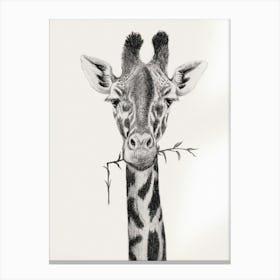 Giraffe Portrait Canvas Print